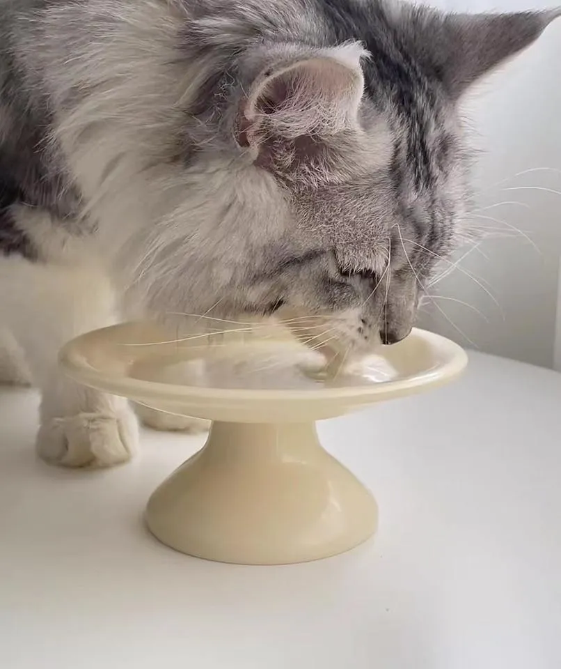 cat food for cats of all life stages