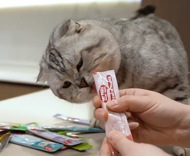Kitten food with added probiotics and goat milk powder