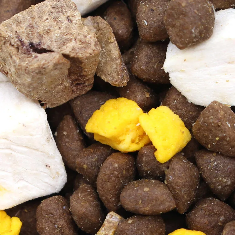 Fresh meat grain-free universal cat food