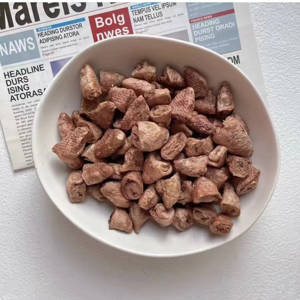 cat food for cats of all life stages