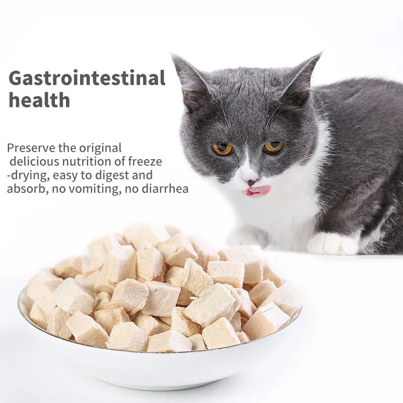 kitten food