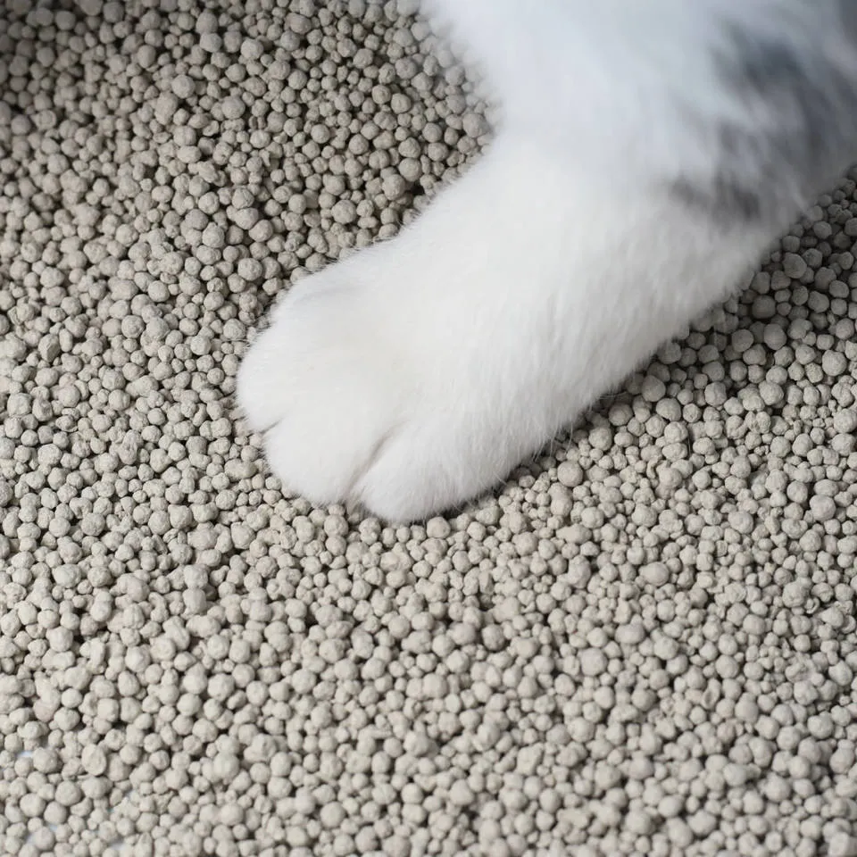Basic beef cat food
