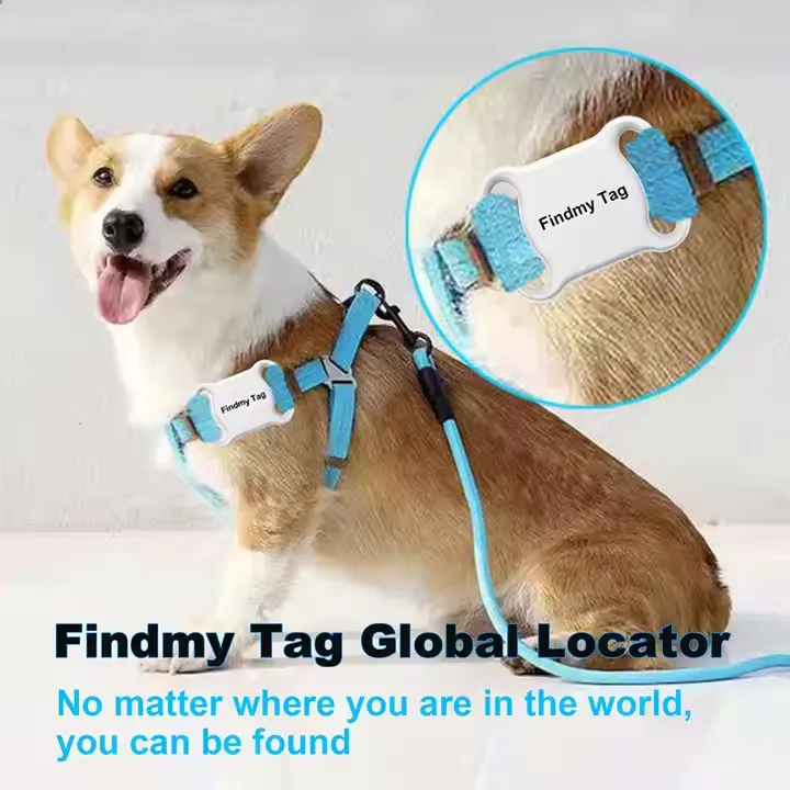 GPS Pet Tracker Real Time GPS Trackers Multiple Colour Long Distance Tracking Device