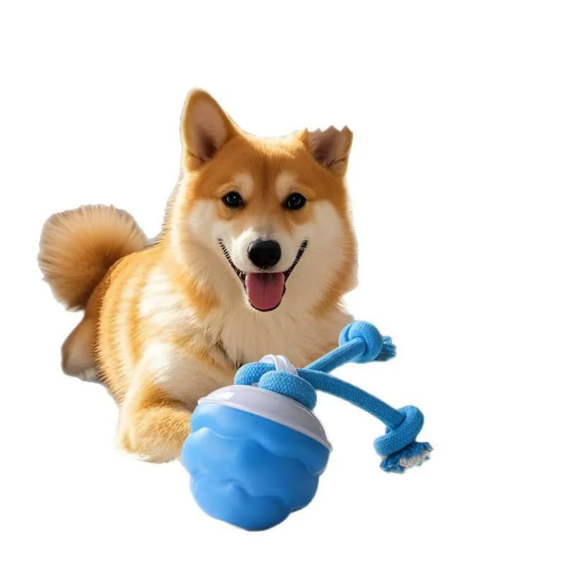 Smart Interactive Dog Toy Ball Rechargeable Motion-Activated Pet Toy with Sound and LED Light