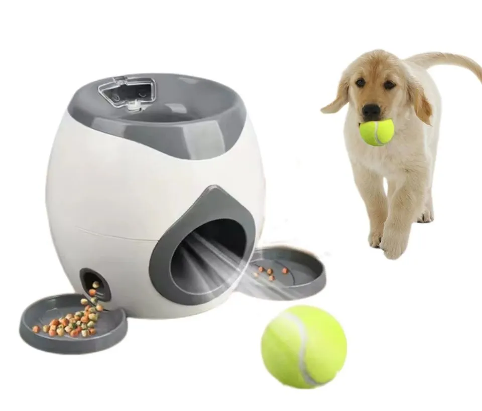Pet toys