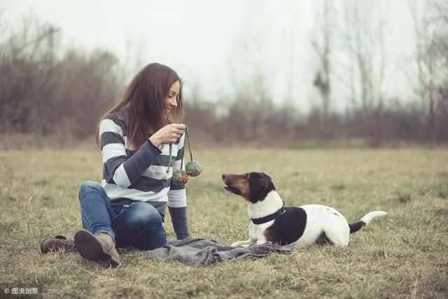 Pet Food Company Expands into Premium Offline Market, Genis Freeze-Dried Dual-Mix Kibble Ushers in
                            Exclusive Channel Era